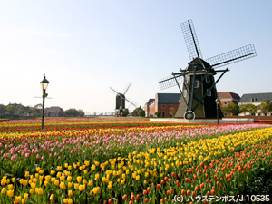 �y�G�[�XJTB�E�������s�z����c�A�[�E����̗��فE�z�e���\��@